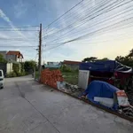 Bán đất nền 370m2 ngã ba Mỹ Hạnh, Bình Dương 4,5 tỷ - Ảnh thu nhỏ 4