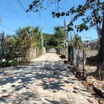 Bán đất trồng cây hơn 1,2 mẫu mặt tiền đường đất tại Lâm Sơn, Khánh Hòa - Ảnh thu nhỏ 4