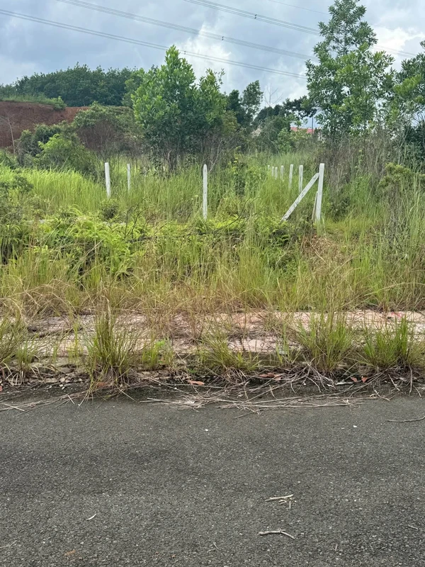 Bán nền đất Đồng Nai, 150m², 470 triệu