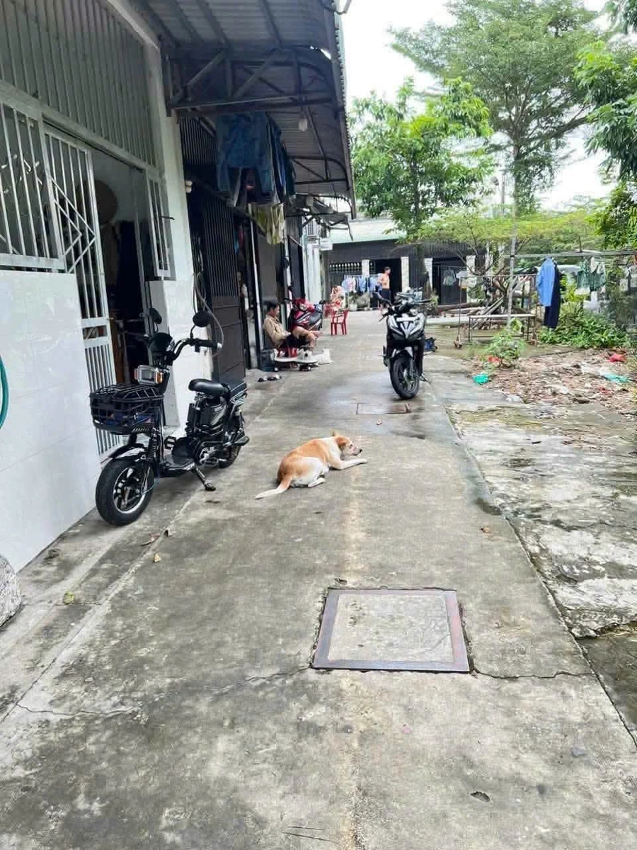 Nhà 2 phòng ngủ 40m² Tân Đông Hiệp, Dĩ An - 890 triệu - Ảnh thu nhỏ 2