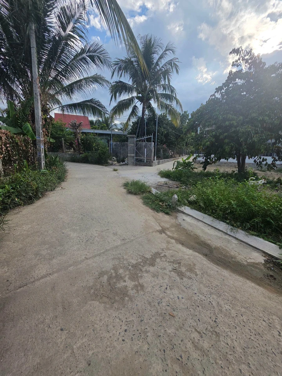 Bán 2 lô đất 60m² Diên Bình Diên Khánh, 518 triệu - Ảnh thu nhỏ 3