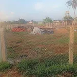 Bán 500m² đất vườn Xã Đức Tân Huyện Tân Trụ Tây Ninh 350 triệu - Ảnh thu nhỏ 1