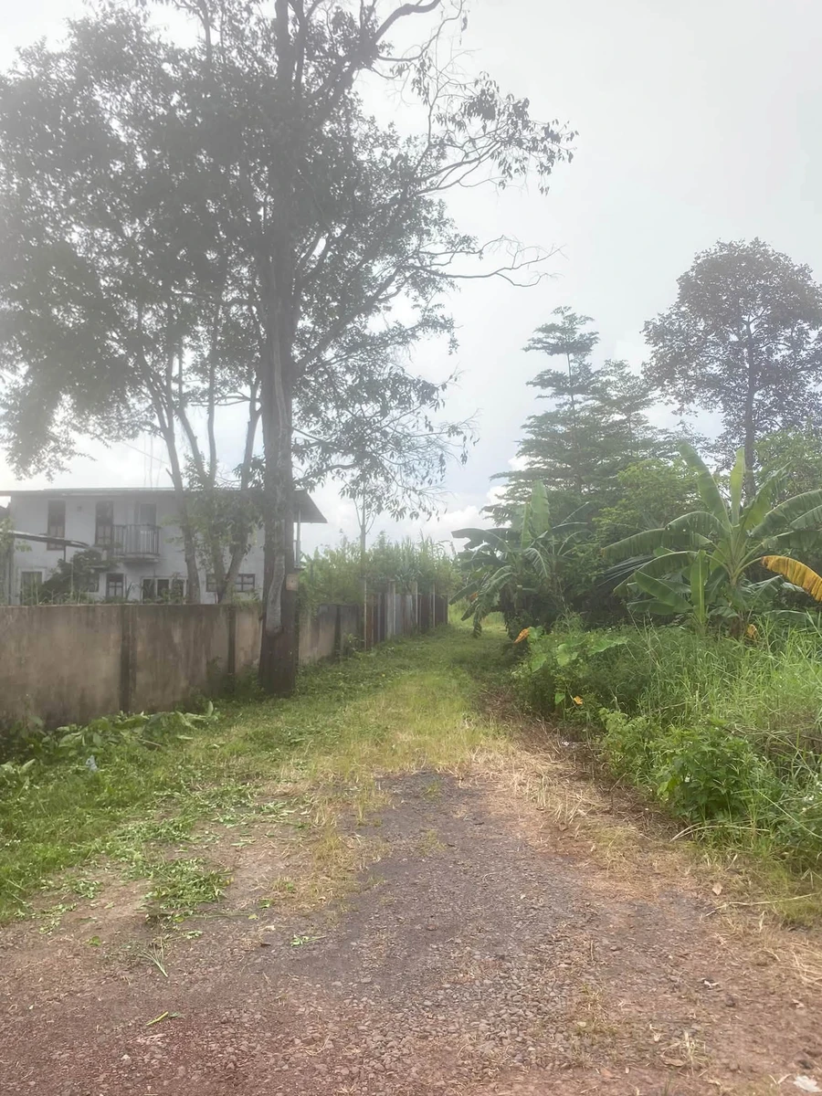 Bán đất Trảng Bom 100m², giá 500 triệu - Ảnh thu nhỏ 3