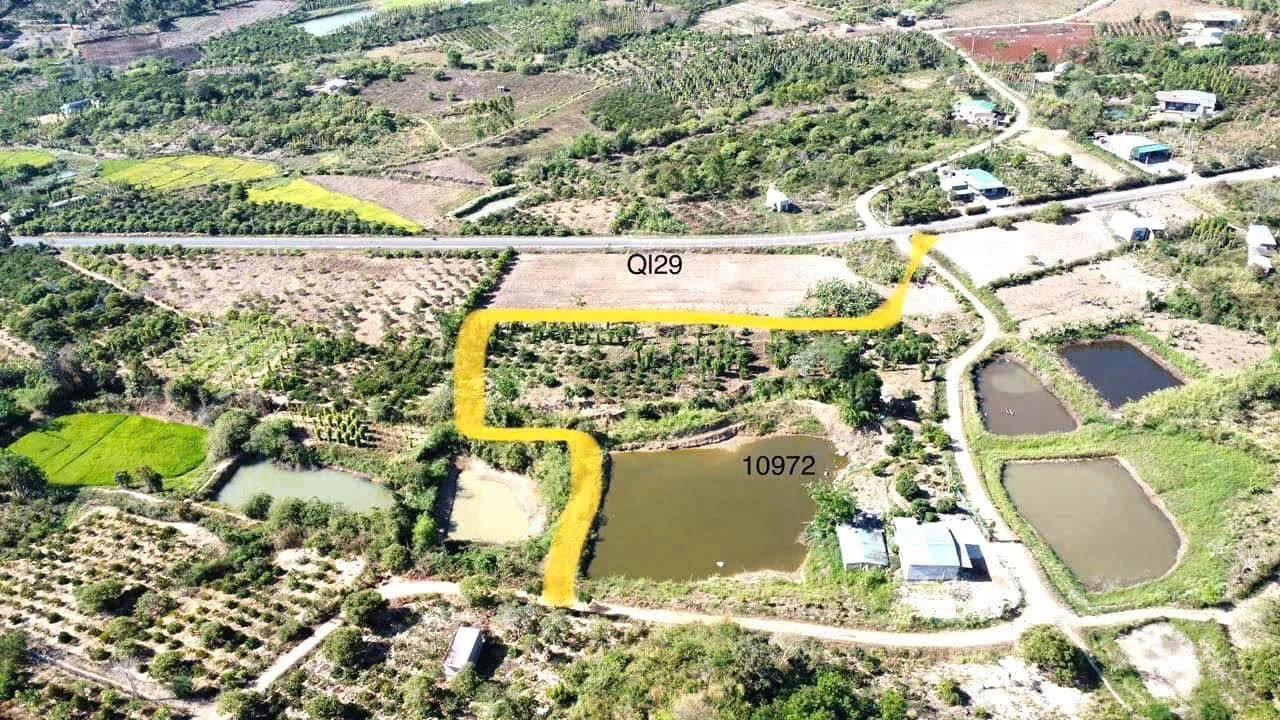 Bán đất 1.9 hecta mặt tiền Quốc Lộ 29, Krông Năng, Đắk Lắk - Ảnh 1