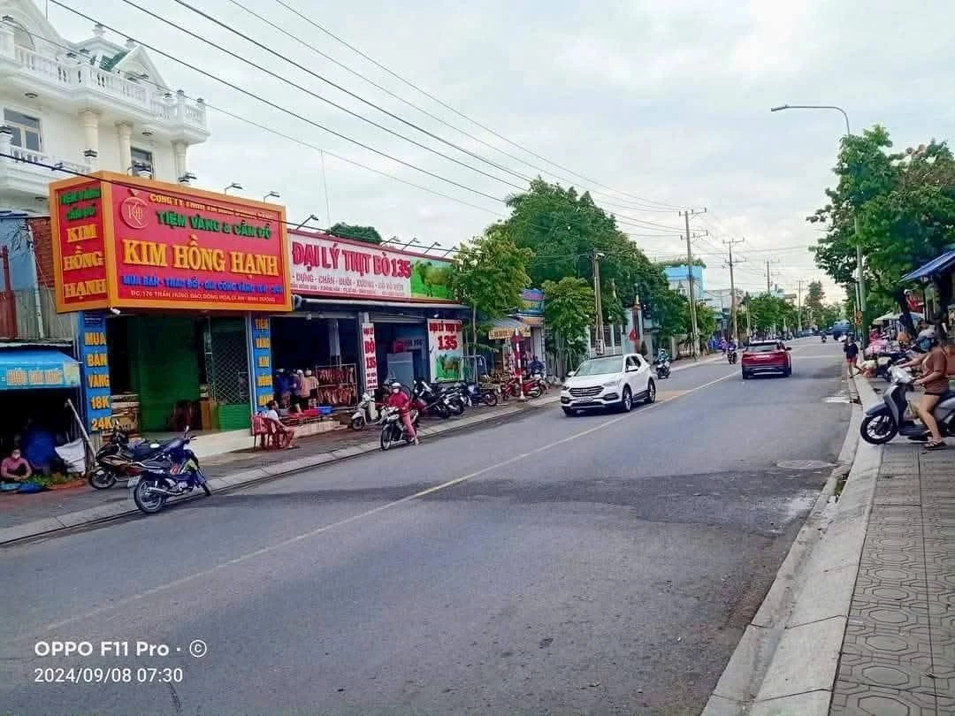 Bán đất mặt tiền Trần Hưng Đạo 1816m2, Đông Hòa, Dĩ An, giá 64 tỷ - Ảnh 1