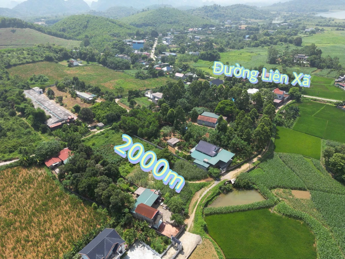 Bán đất nông nghiệp 2000 m² Thanh Oai Hà Nội - Ảnh 1
