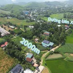 Bán đất nông nghiệp 2000 m² Thanh Oai Hà Nội - Ảnh thu nhỏ 1