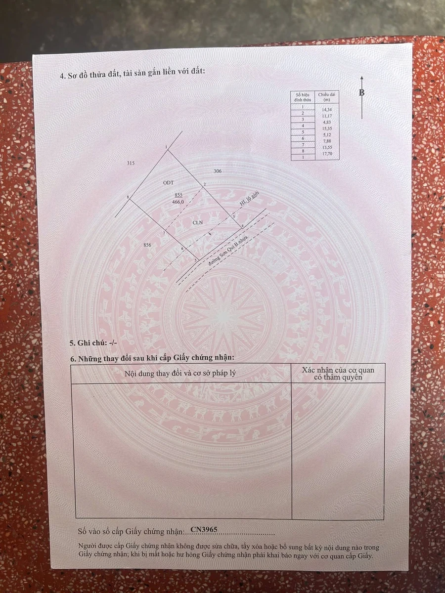 Bán đất Gò Công 466m² sổ hồng, mặt đường - Ảnh thu nhỏ 4