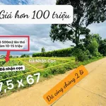 Bán đất view hồ 500m² Đức Bình, giá 135 triệu - Ảnh thu nhỏ 3