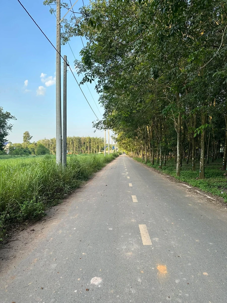 Bán đất Bình Mỹ 80m2, giá 3 tỷ, Tân Bình - Ảnh thu nhỏ 4