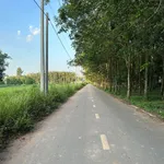 Bán đất Bình Mỹ 80m2, giá 3 tỷ, Tân Bình - Ảnh thu nhỏ 4