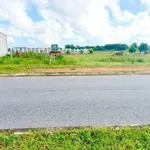 Bán đất Thanh An Đường 2, 125m², 970 triệu, Quận 12 - Ảnh thu nhỏ 4