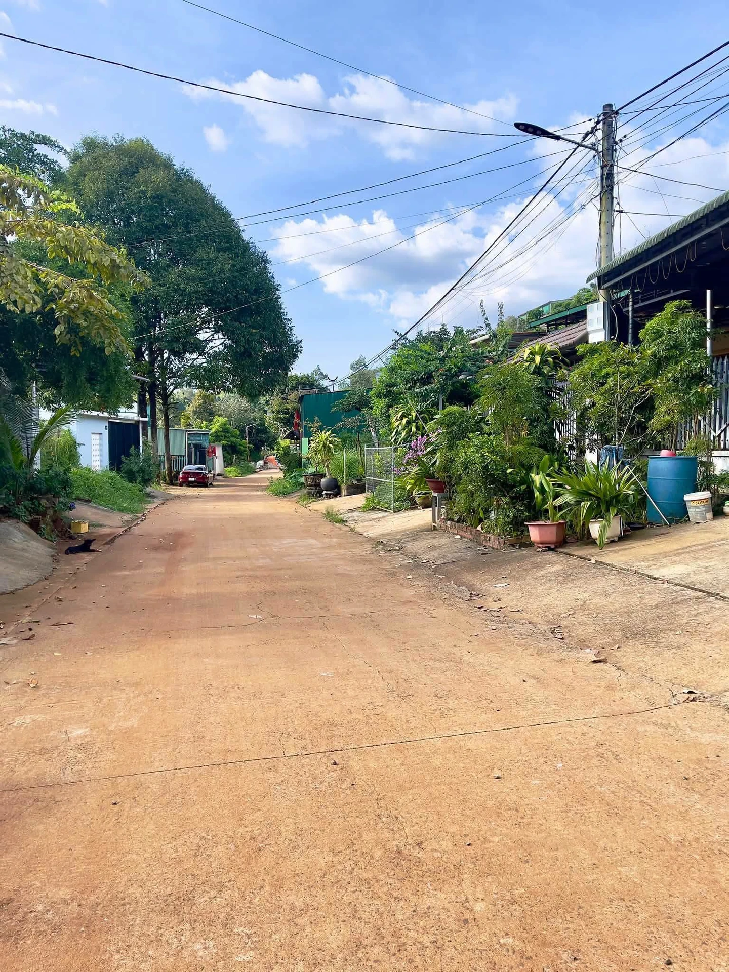 Bán đất Dương Đình Nghệ Nam Gia Nghĩa 150m² 750 triệu - Ảnh 1