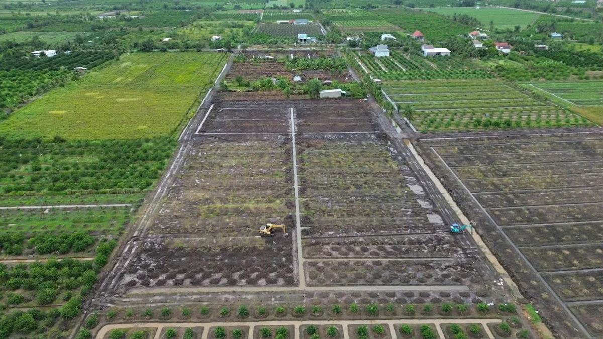 Bán đất vườn 500m² Tân Thành, Thủ Thừa, Long An - Ảnh thu nhỏ 4