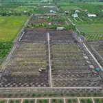Bán đất vườn 500m² Tân Thành, Thủ Thừa, Long An - Ảnh thu nhỏ 4