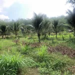Bán 5ha đất nhà vườn Đồng Xoài, có suối, sinh thái - Ảnh thu nhỏ 2