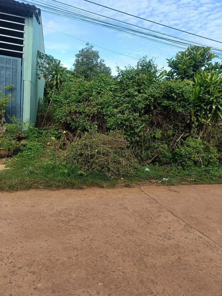 Bán đất 50m² hẻm Nguyễn Chí Thanh, Pleiku, Gia Lai - Ảnh 1