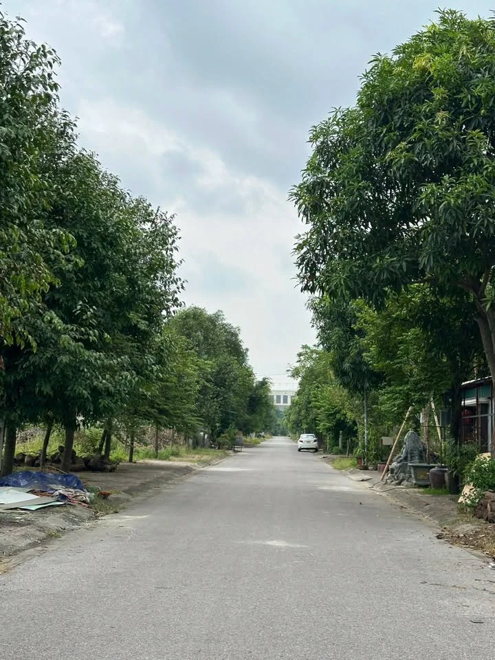 Bán lô đất 116m2 xây dựng tự do Nghi Phú, TP Vinh - Ảnh thu nhỏ 2