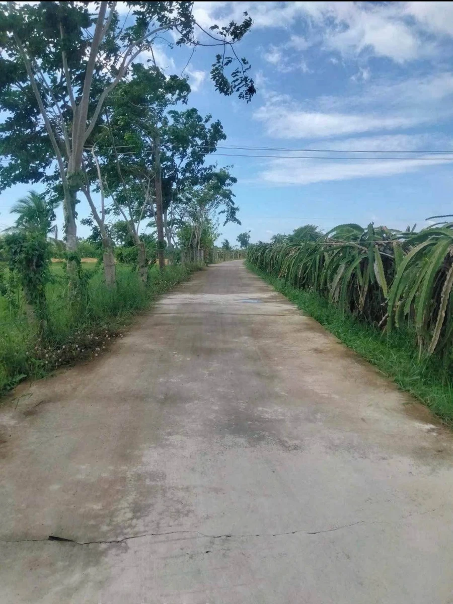 Bán 200m đất cây trồng Xã Hàm Liêm, Lâm Đồng - Ảnh thu nhỏ 2