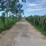 Bán 200m đất cây trồng Xã Hàm Liêm, Lâm Đồng - Ảnh thu nhỏ 2