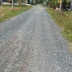 Bán lô đất thổ lúa 1468m² Đức Hòa Thượng 3 tỷ 8 - Ảnh thu nhỏ 1