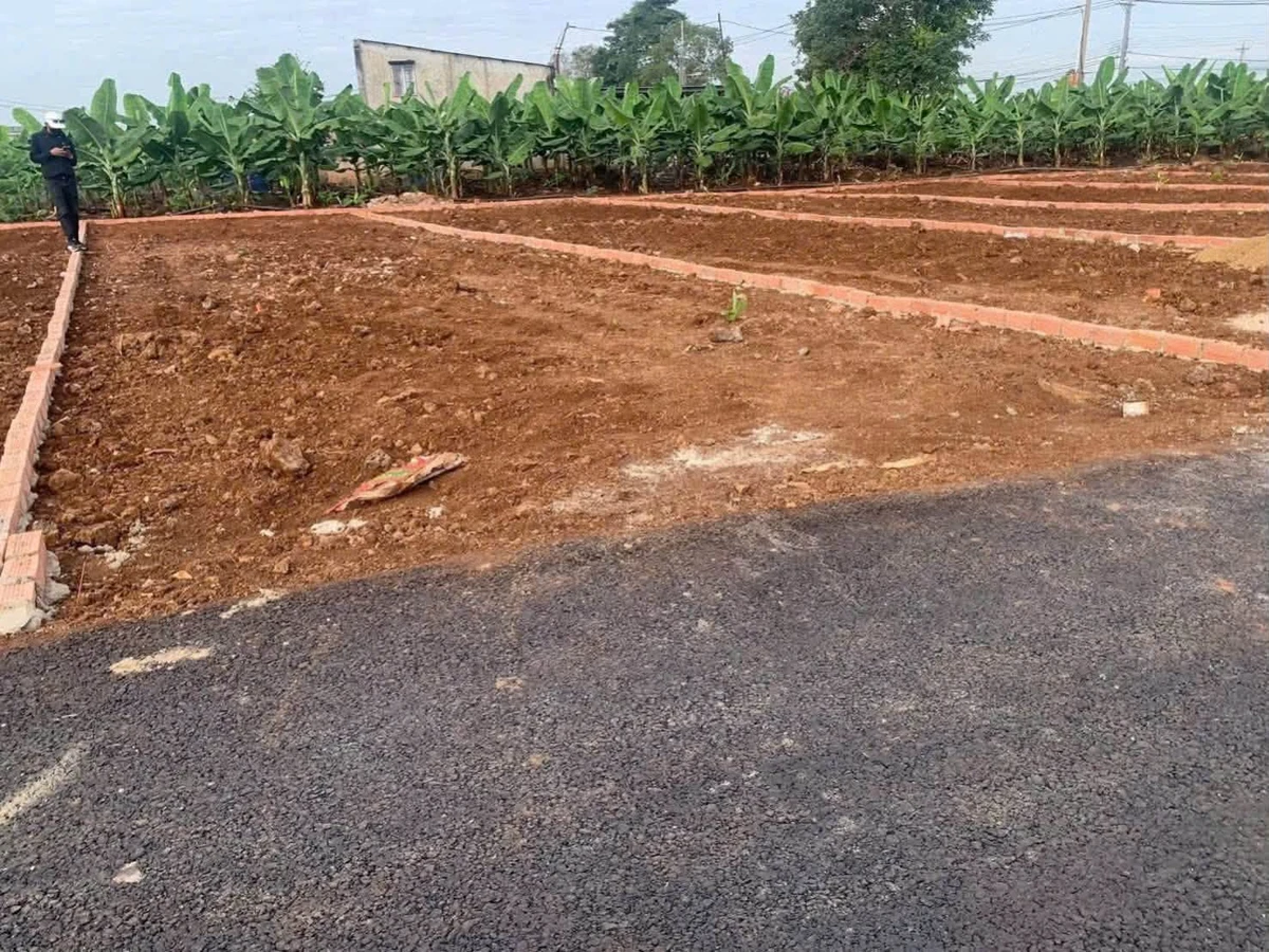 Bán đất sổ riêng 103m² Xã Bàu Hàm, Đồng Nai, giá 390-485 triệu - Ảnh thu nhỏ 3