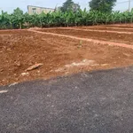 Bán đất sổ riêng 103m² Xã Bàu Hàm, Đồng Nai, giá 390-485 triệu - Ảnh thu nhỏ 3