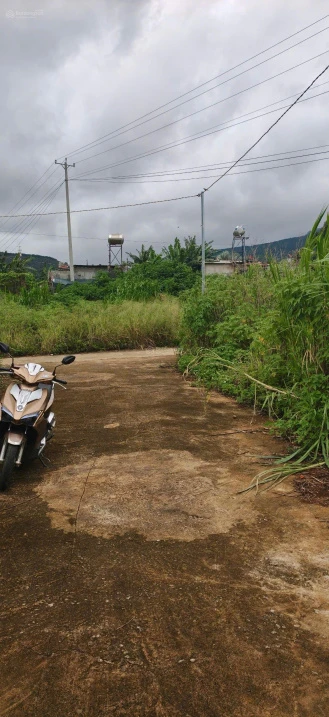 Đất giá rẻ 1,25 tỷ tại Hiệp Thạnh - Lâm Đồng DT: 143 m, cách QL 27 chỉ 100m, cách chợ chỉ 400m - Ảnh thu nhỏ 4