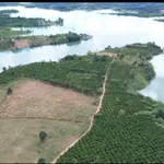 Bán đất view hồ ĐakMa Quảng Ngãi Giá tốt - Ảnh thu nhỏ 2