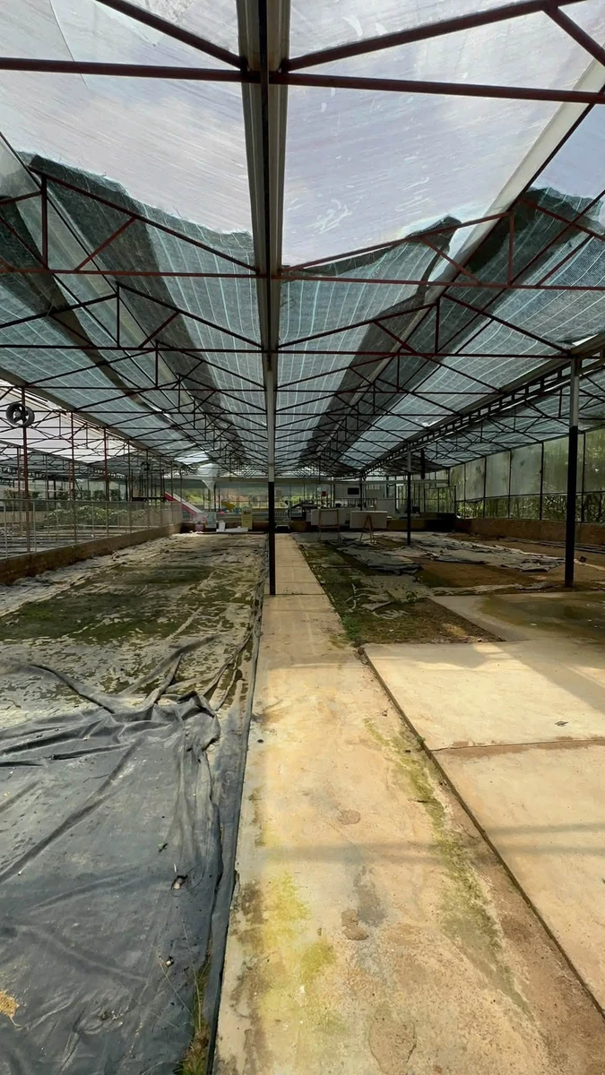 Bán gấp lô đất 4100m2 view rừng thông đường Mimoza, Đà Lạt giá 8,5 tỷ - Ảnh thu nhỏ 5