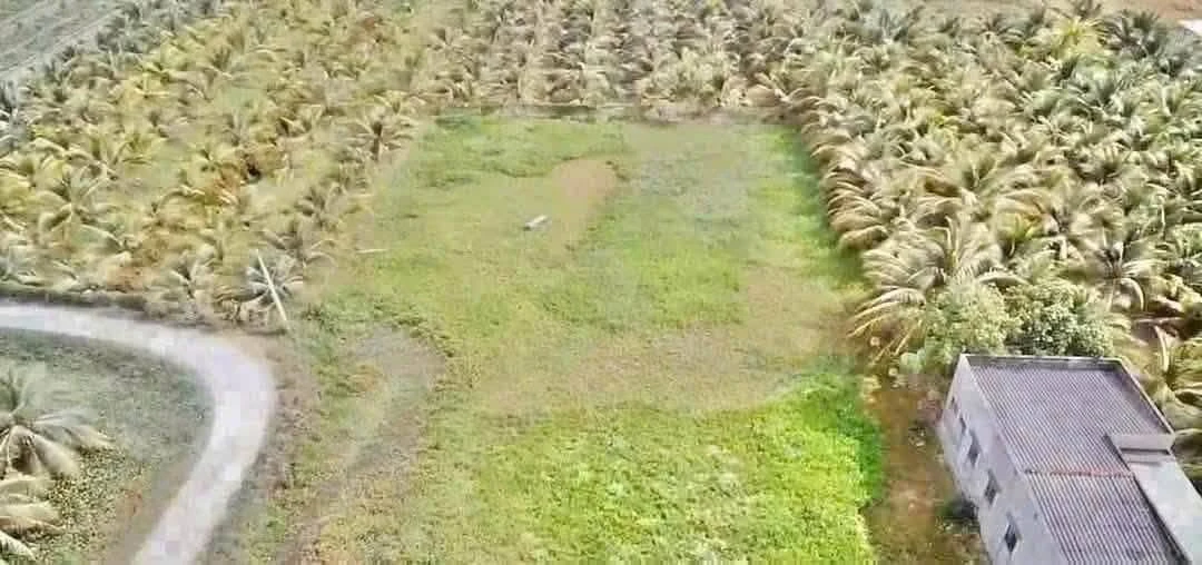 Bán đất vườn 2.112m² Tân An Long An giá 3 tỷ - Ảnh thu nhỏ 4
