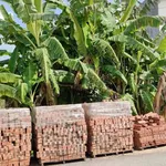 Bán đất mặt đường 112.5m² Vĩnh Hải Hải Phòng 1,1 tỷ - Ảnh thu nhỏ 2