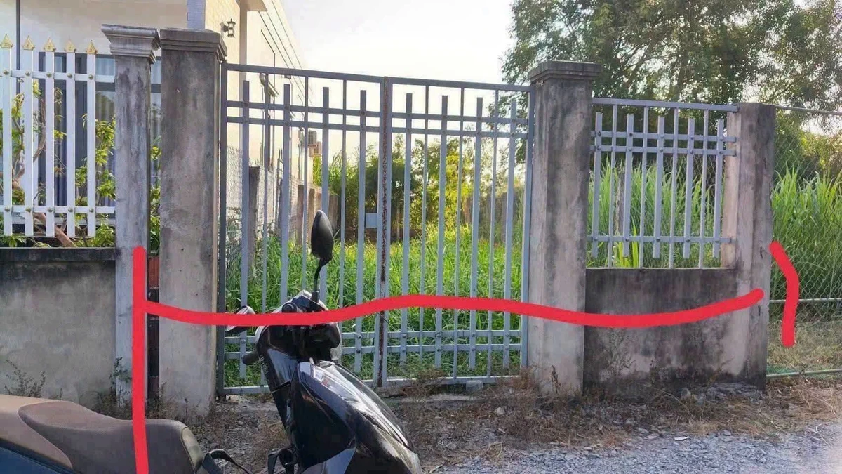 Bán đất nền 141,5m2 giá 289 triệu sau chợ Mỹ Nhơn, Ba Tri - Ảnh thu nhỏ 3