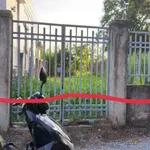 Bán đất nền 141,5m2 giá 289 triệu sau chợ Mỹ Nhơn, Ba Tri - Ảnh thu nhỏ 3