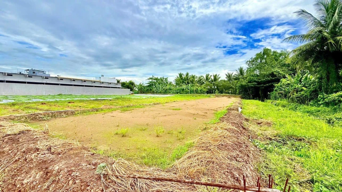 Cách Đại học Nam Cần Thơ 1km, sổ hồng lộ ô tô, Rạch Vinh bán 8 nền liền kề - Ảnh thu nhỏ 5
