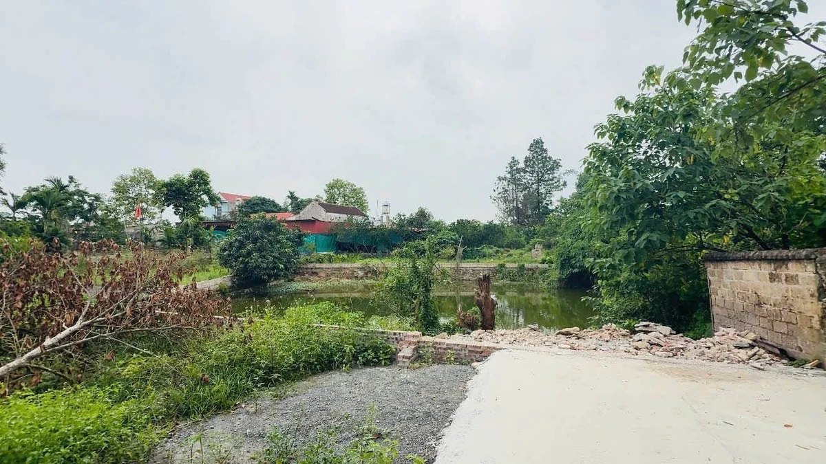Bán đất 754m2 (117m2 ở) tại xã Xuân Mai Hà Nội - Ảnh thu nhỏ 5