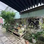 Bán nhà hoàn công mặt tiền đường Tô Hiệu với diện tích 763m2 (11,8mx72m) sẵn 187m2 thổ cư - Ảnh thu nhỏ 6