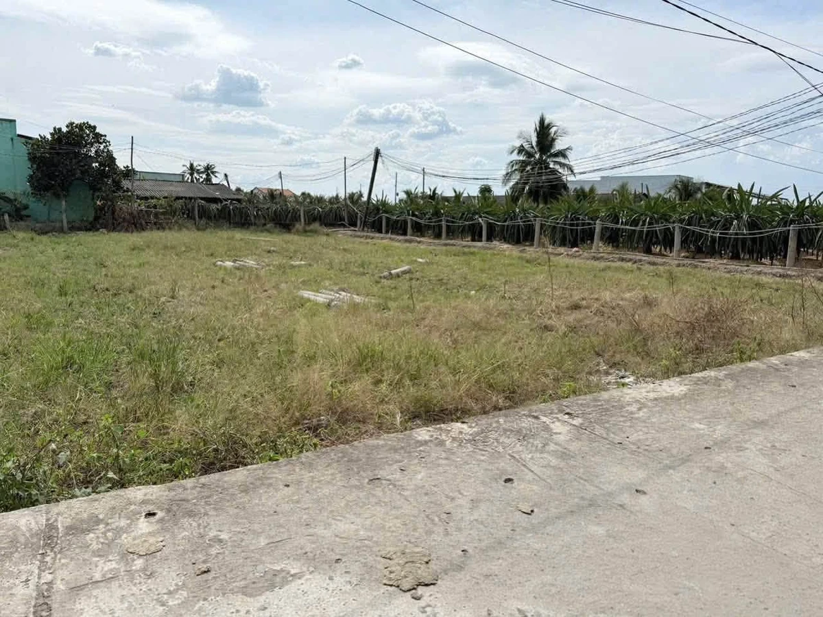 Bán 3 lô đất thổ cư 131,4m² mặt tiền đường Bờ Sen, Tây Ninh - Ảnh thu nhỏ 5