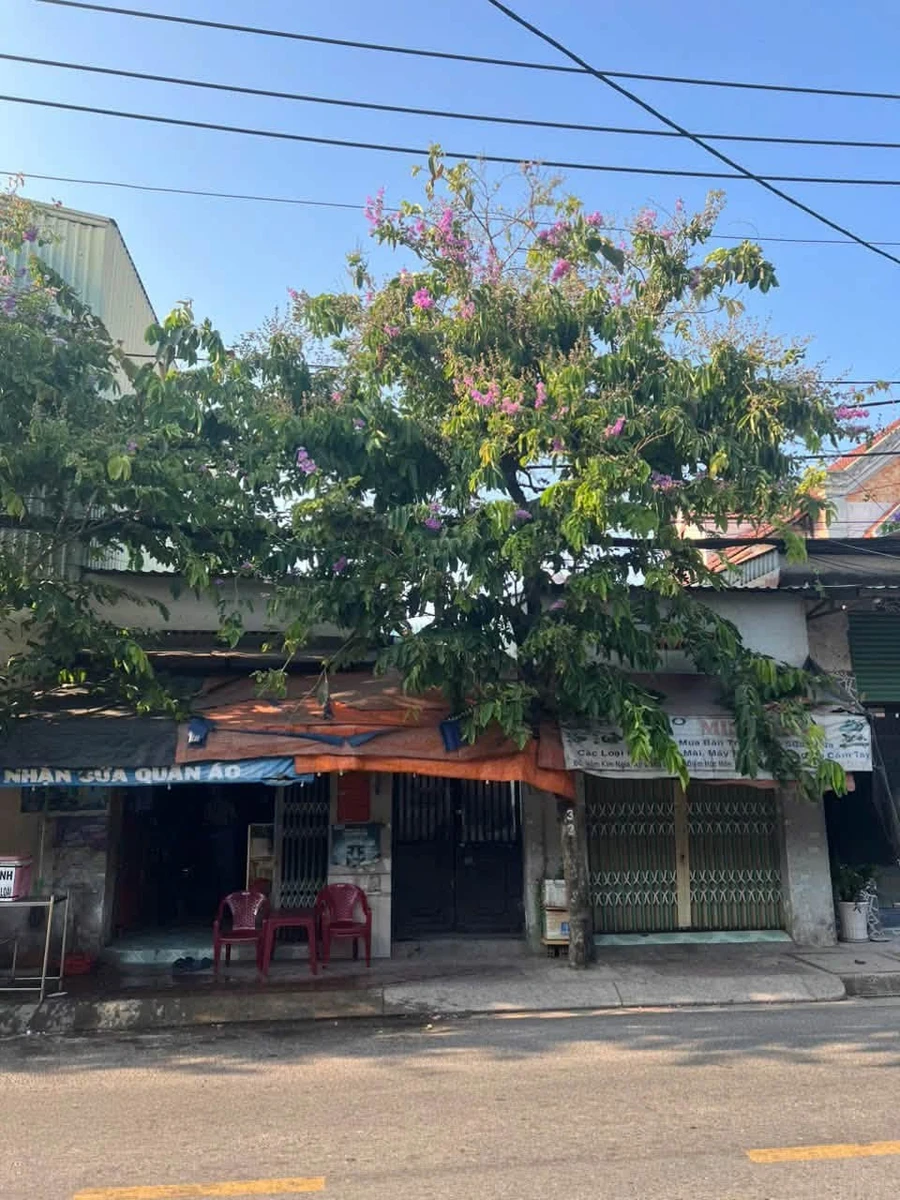 Bán 2 dãy trọ Bà Điểm Hóc Môn, 224m2, 14 phòng, 11 tỷ - Ảnh 1