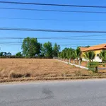 Bán đất mặt tiền đường 715, 1.100m² ở Hàm Đức - Ảnh thu nhỏ 2
