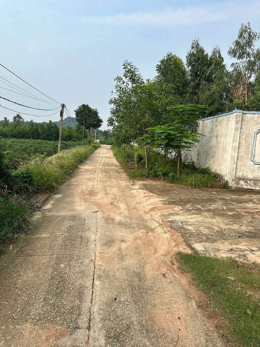 Bán đất nền 500m² sổ riêng Long Điền, Cần Giờ - Ảnh thu nhỏ 2