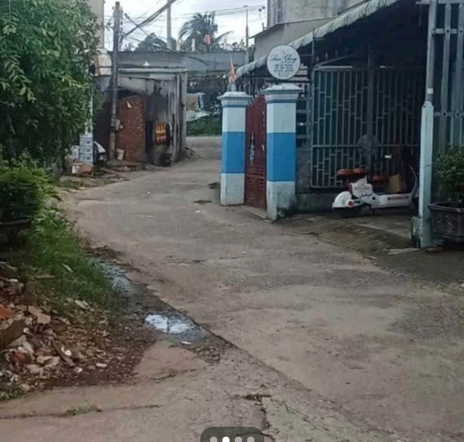 Bán đất Đồng Nai 255m2 Tân Cang hơn 2 tỷ - Ảnh thu nhỏ 2