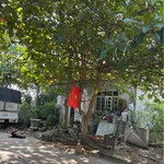 Bán lô đất 298m² khu TD2 Thuỷ Vân, Vỹ Dạ, Huế 5,2 tỷ - Ảnh thu nhỏ 2
