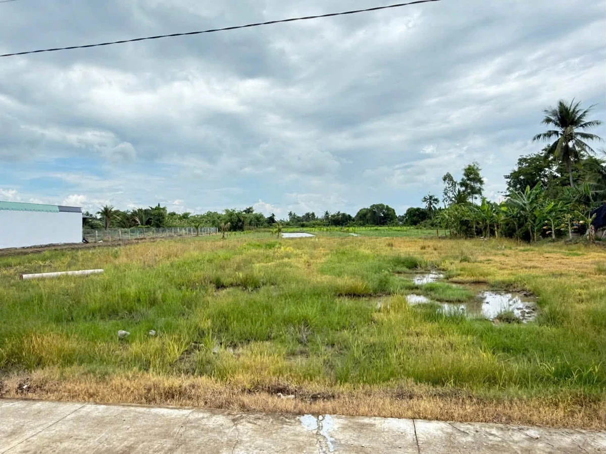 Bán đất lúa và vườn 4000m2 xã Vàm Cỏ, Tây Ninh, giá 450 triệu/1000m2 - Ảnh 1