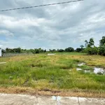 Bán đất lúa và vườn 4000m2 xã Vàm Cỏ, Tây Ninh, giá 450 triệu/1000m2 - Ảnh thu nhỏ 1