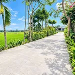 Bán đất nền Điện Hồng Điện Bàn 130m2, 590 triệu - Ảnh thu nhỏ 2