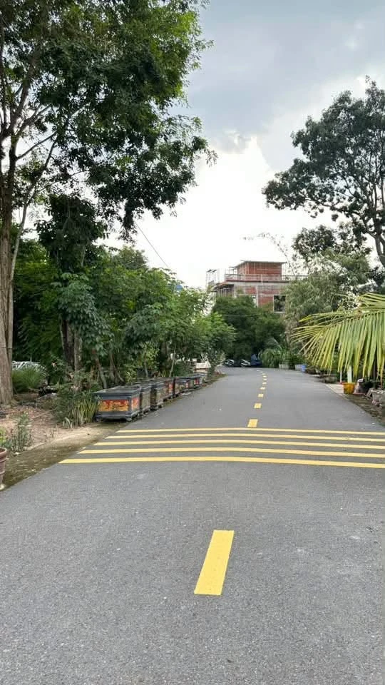 Bán đất Chánh Phú Hòa 175m² 1,2 tỷ - Ảnh thu nhỏ 3