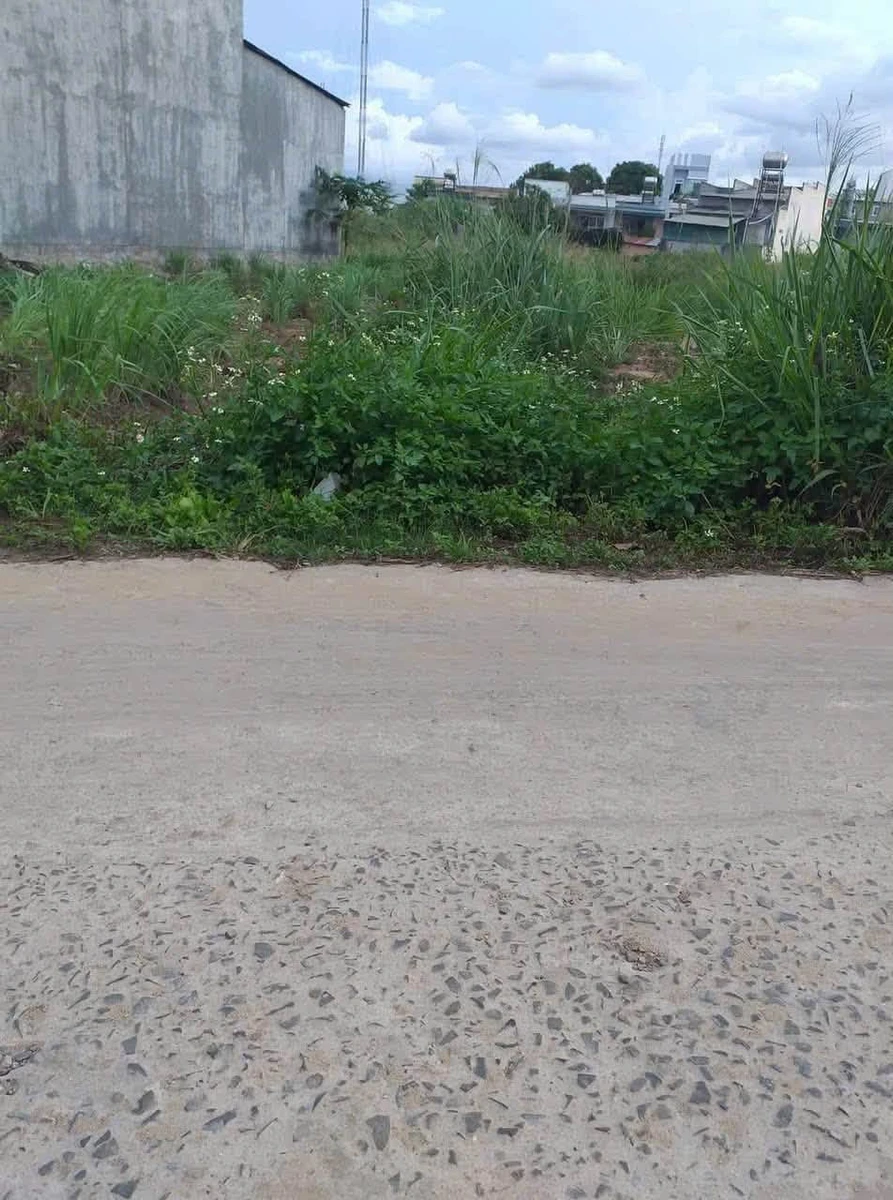 Bán lô đất 135 m² gần trường Nguyễn Bá Ngọc, 1 tỷ 3 - Ảnh thu nhỏ 3