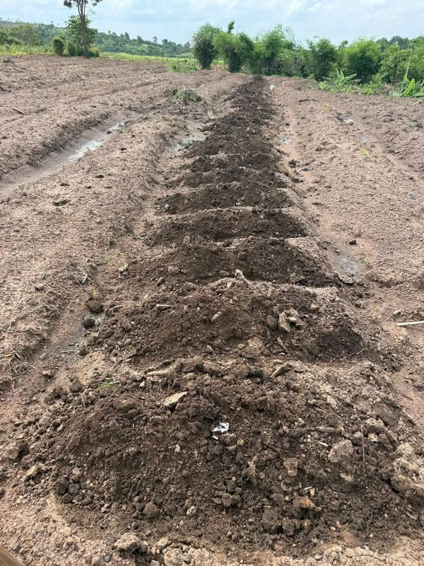 Bán đất 1,2 hectare suối nước quanh năm Ea Súp, Đắk Lắk, giá 200 triệu