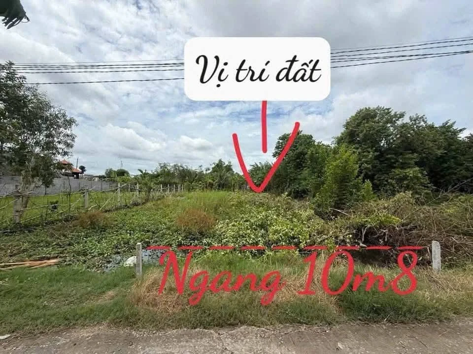 Bán lô đất vườn 412m2 Phước Lý, Cần Giuộc, Long An - Ảnh thu nhỏ 3